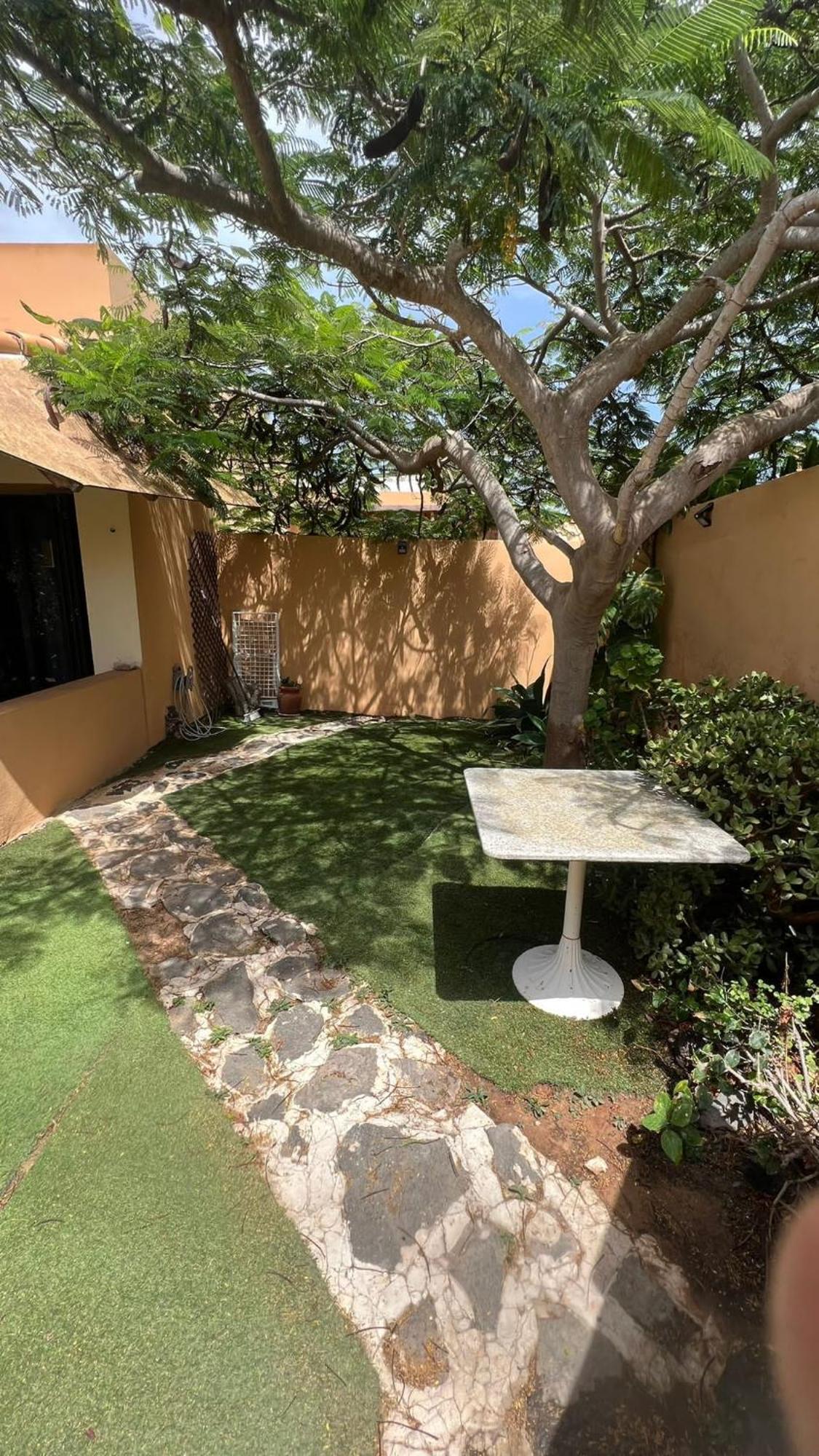 Vivienda Vacacional Orquidea 科拉雷侯 外观 照片